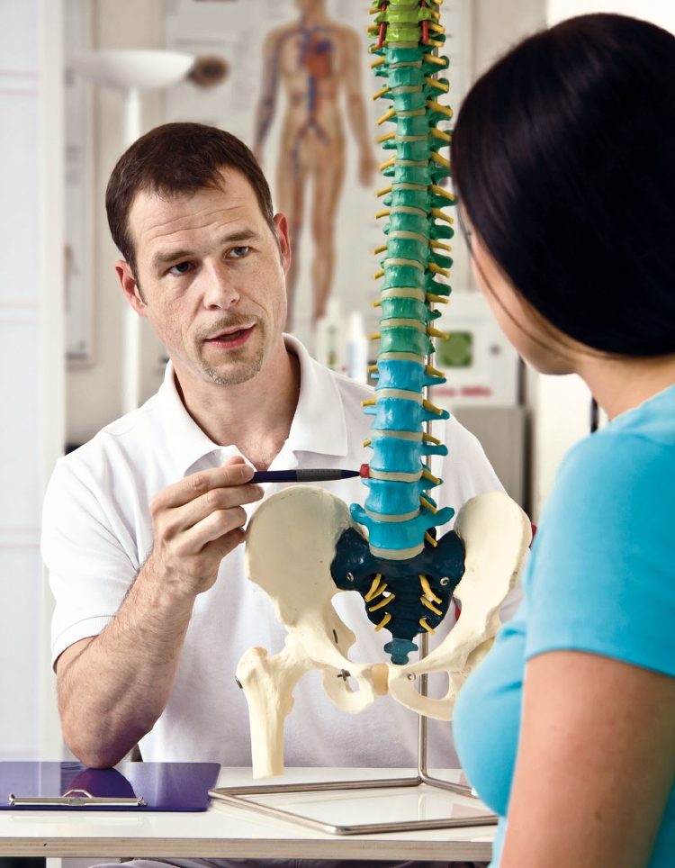 2 Spalten - Grundlagen Anatomie Advanced
